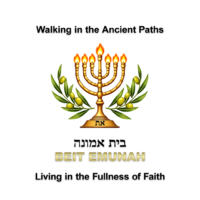 logo with menorah and olive branches